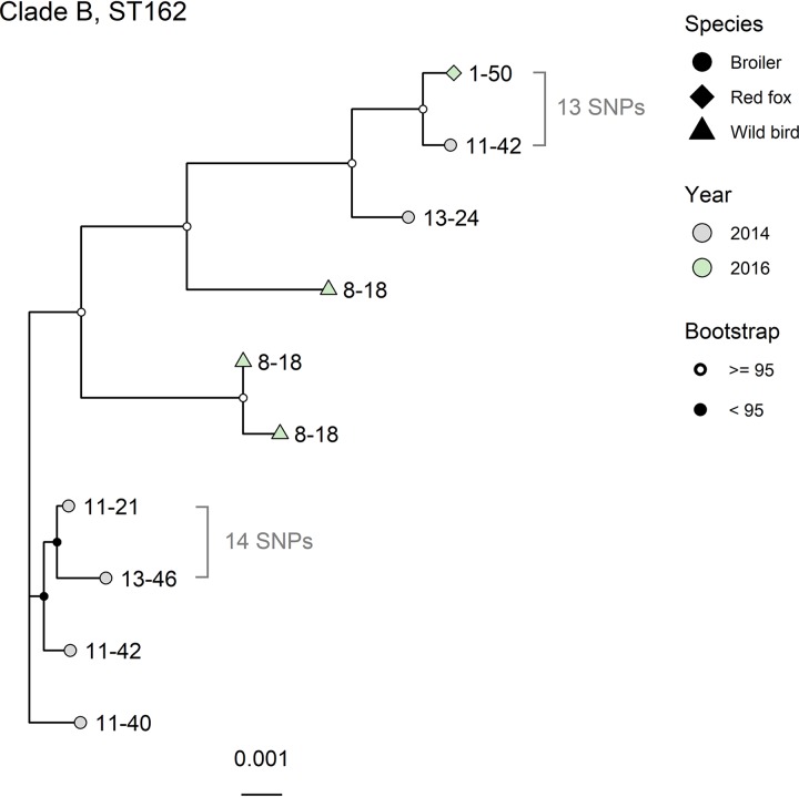 FIG 3