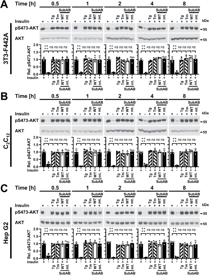 FIGURE 2: