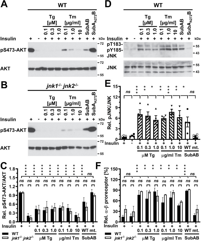 FIGURE 12: