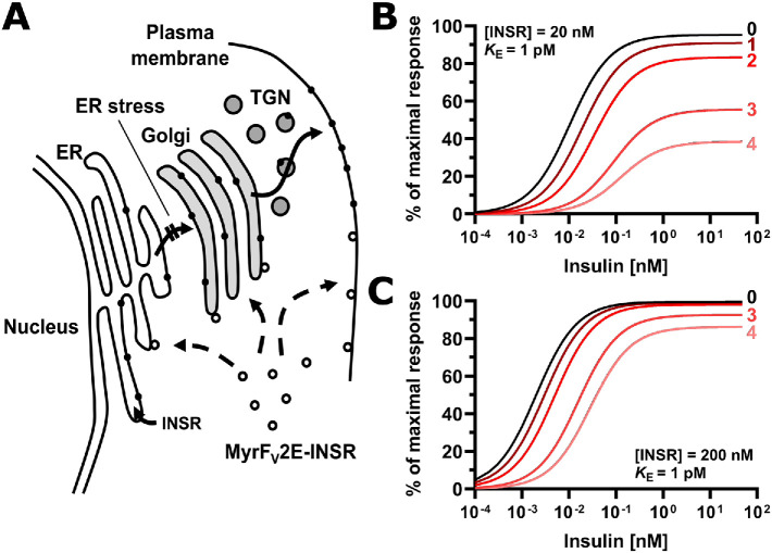 FIGURE 14: