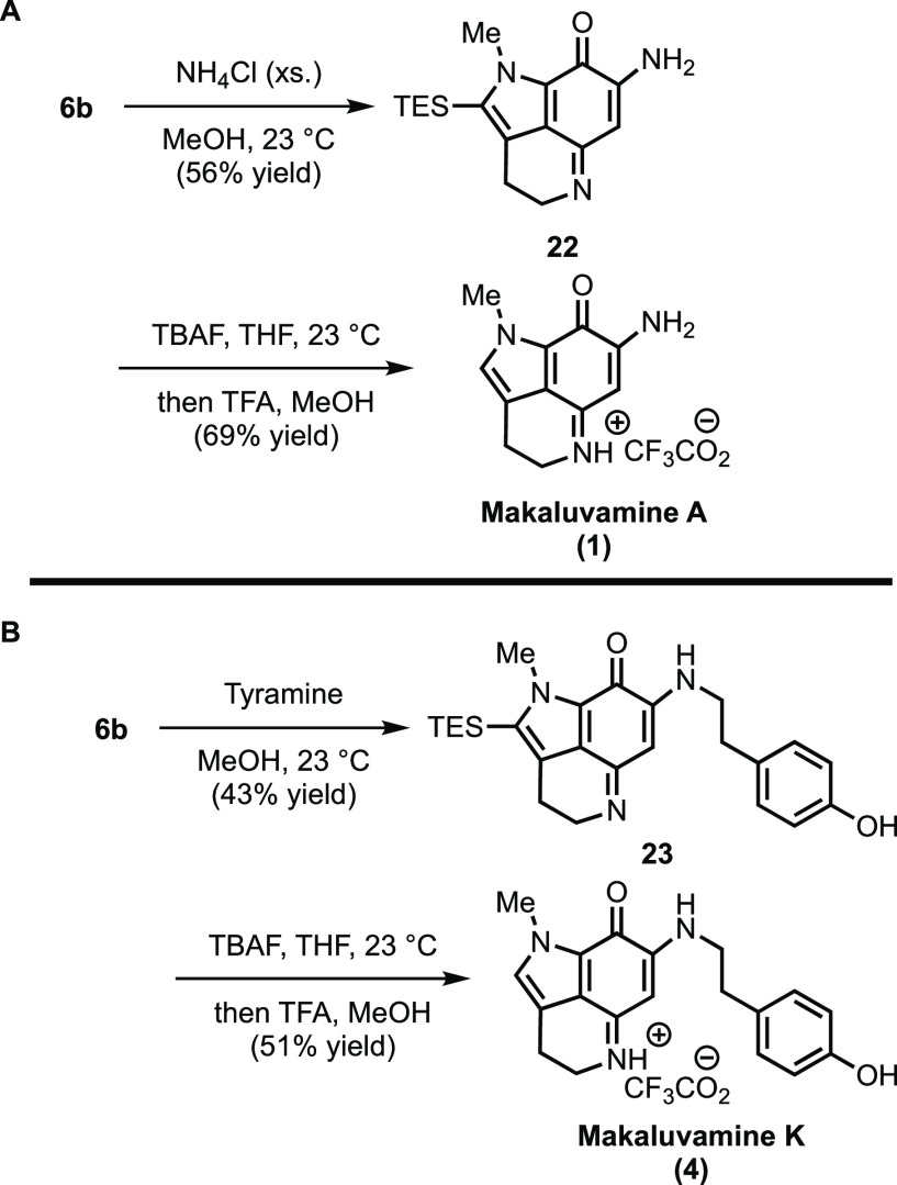 Scheme 7