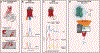 Figure 5:
