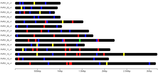 Figure 2