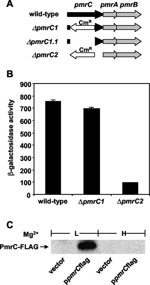 FIG. 1.