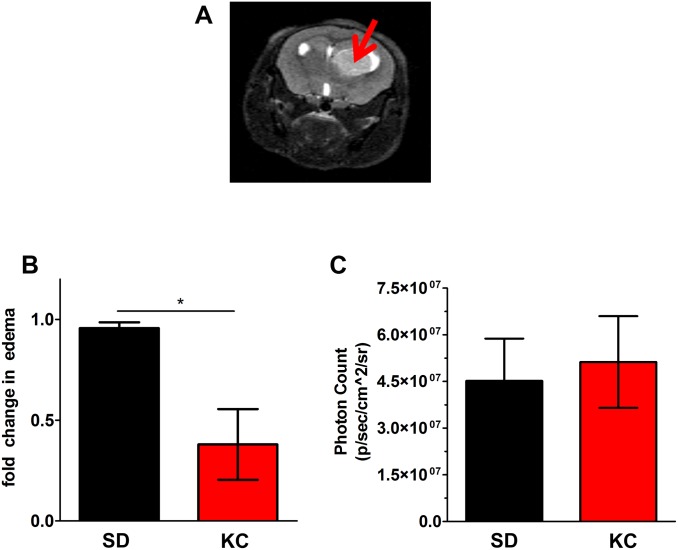 Fig 7