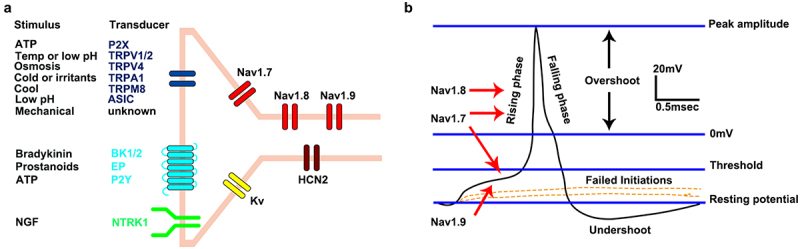 Figure 3.