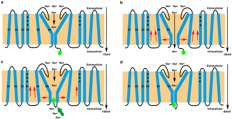 Figure 2.