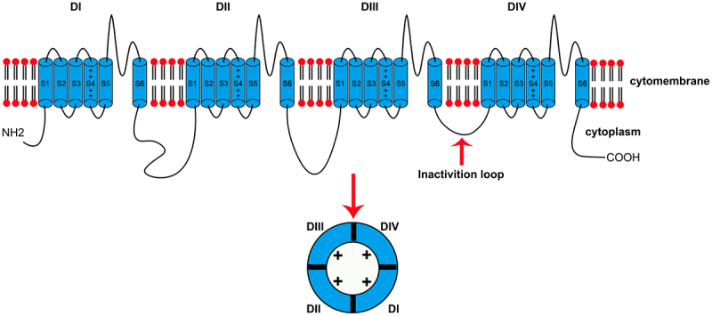 Figure 1.