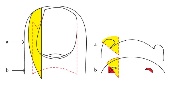 Figure 8