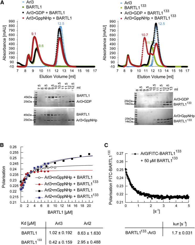 Figure 3