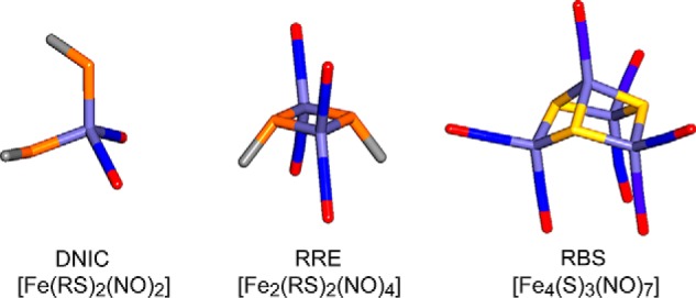 FIGURE 3.