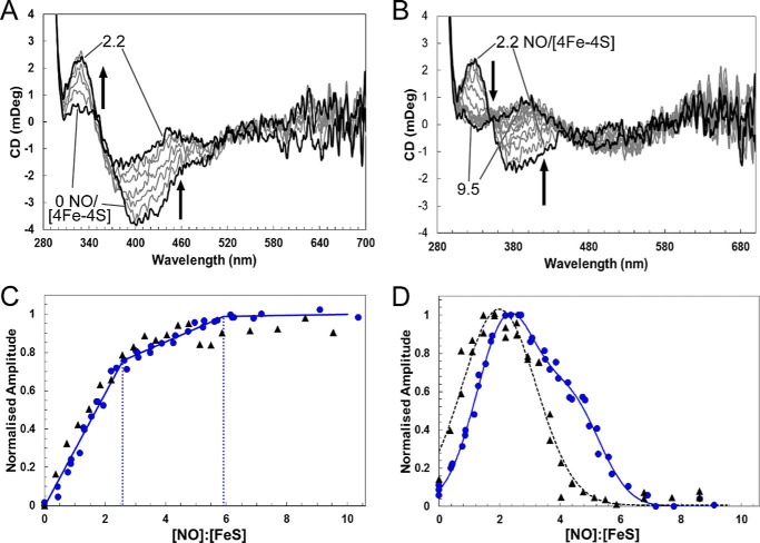 FIGURE 5.