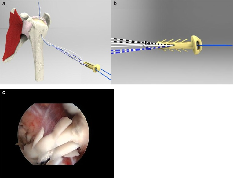 Figure 2 a–c.