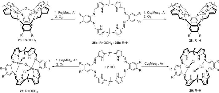 Scheme 6