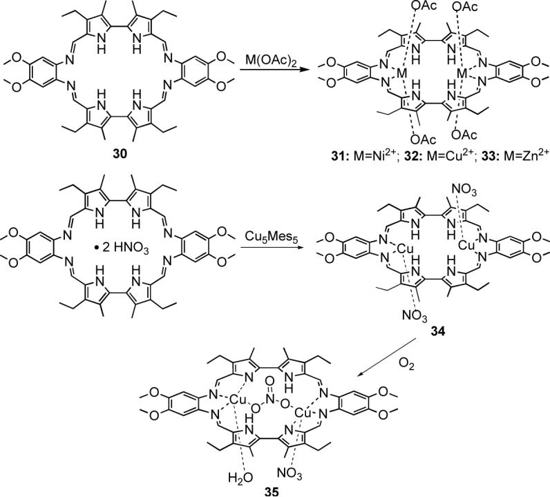 Scheme 7