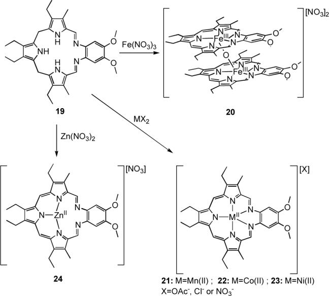 Scheme 5