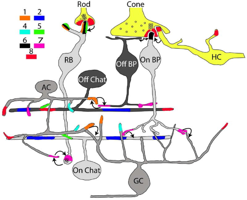 Fig. 1