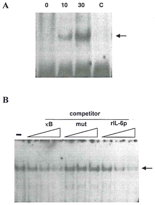 FIG. 5