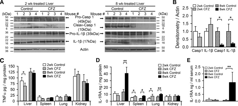 FIG 2