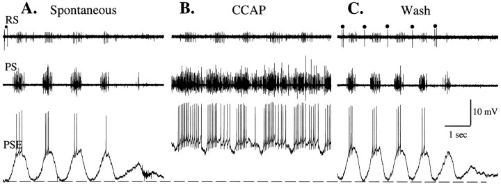 Fig. 8.