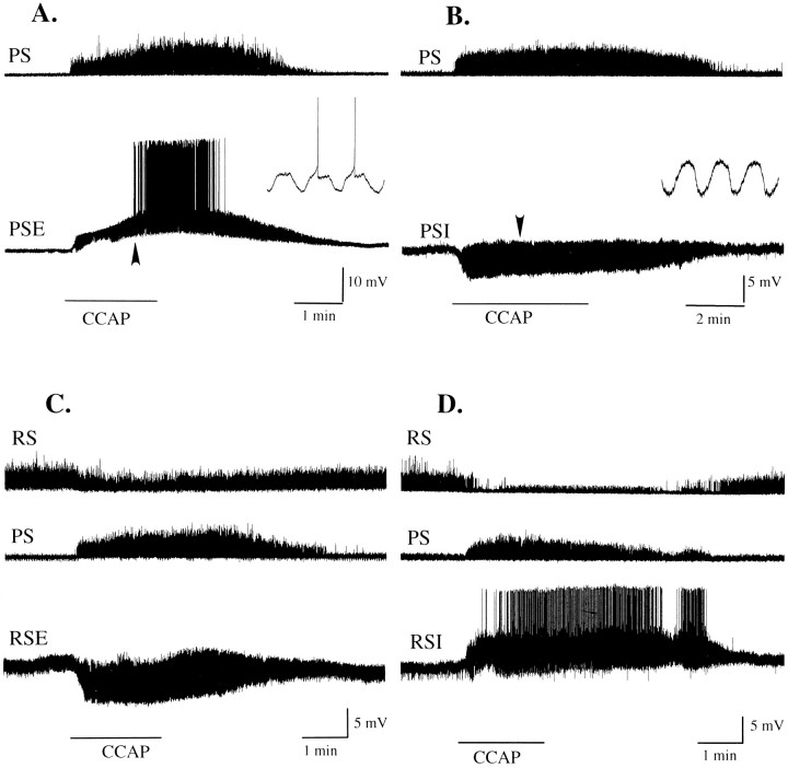 Fig. 5.