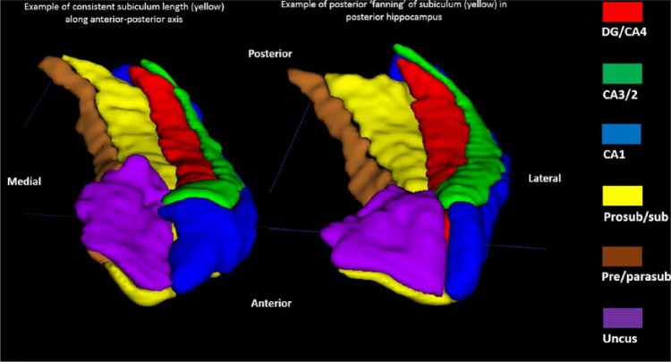 Figure 25.