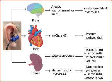 Figure 5: