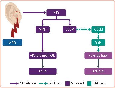 Figure 4: