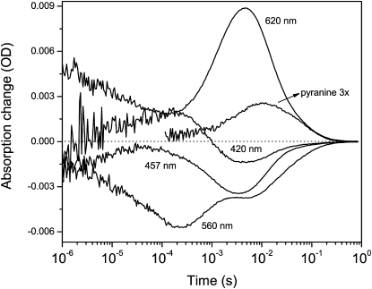 Figure 4