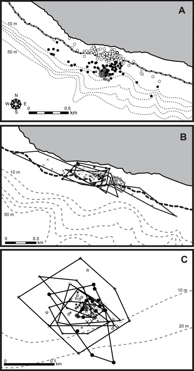 Figure 8