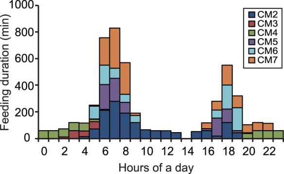 Figure 4