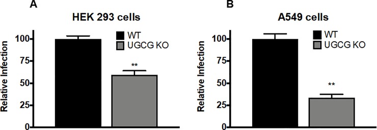 Fig 4