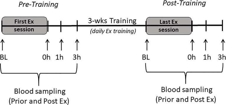 Figure 1