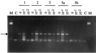 FIG. 5