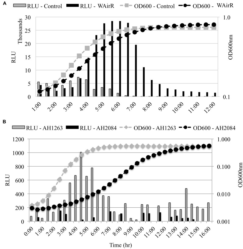 FIGURE 4