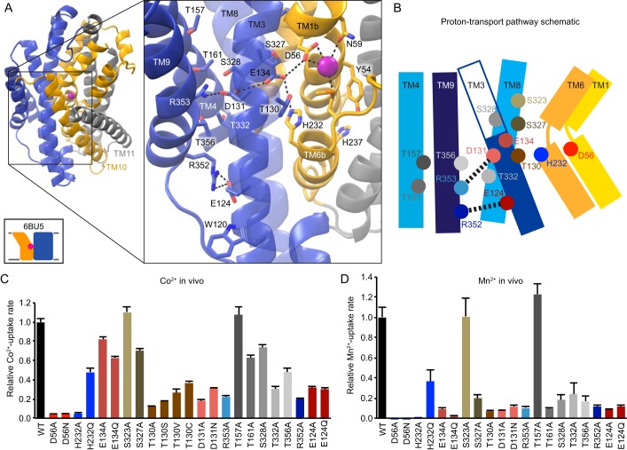 Figure 4.