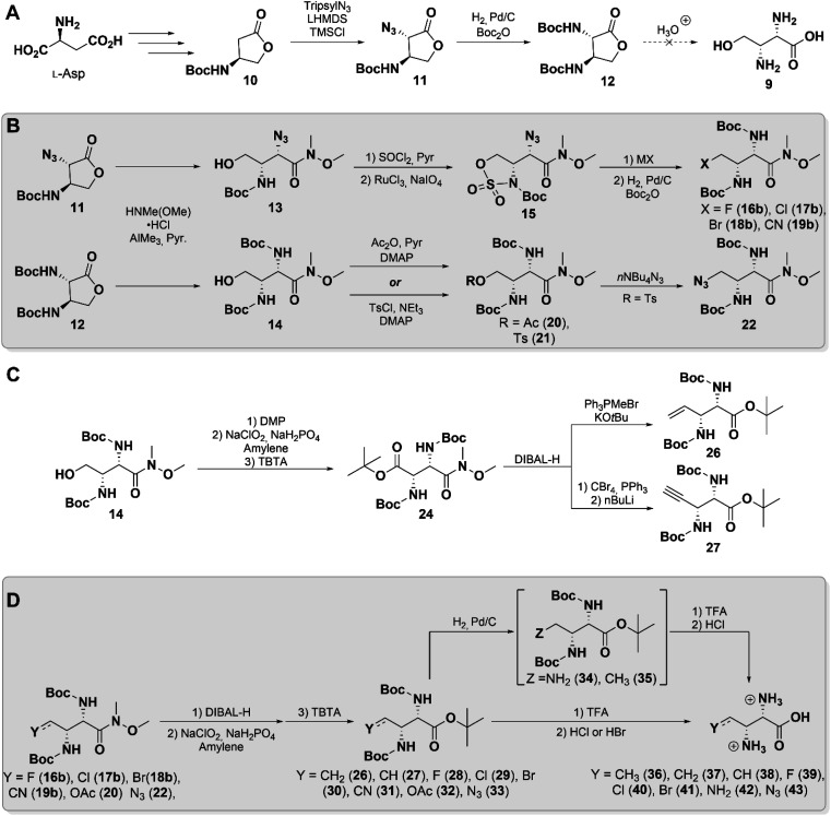 Scheme 2