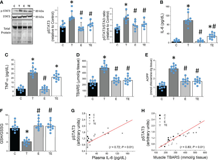 Figure 4