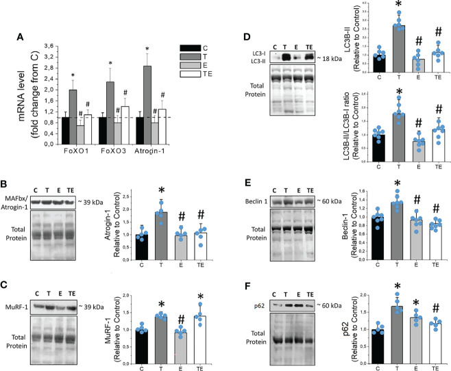 Figure 5