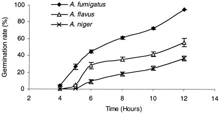 FIG.2.