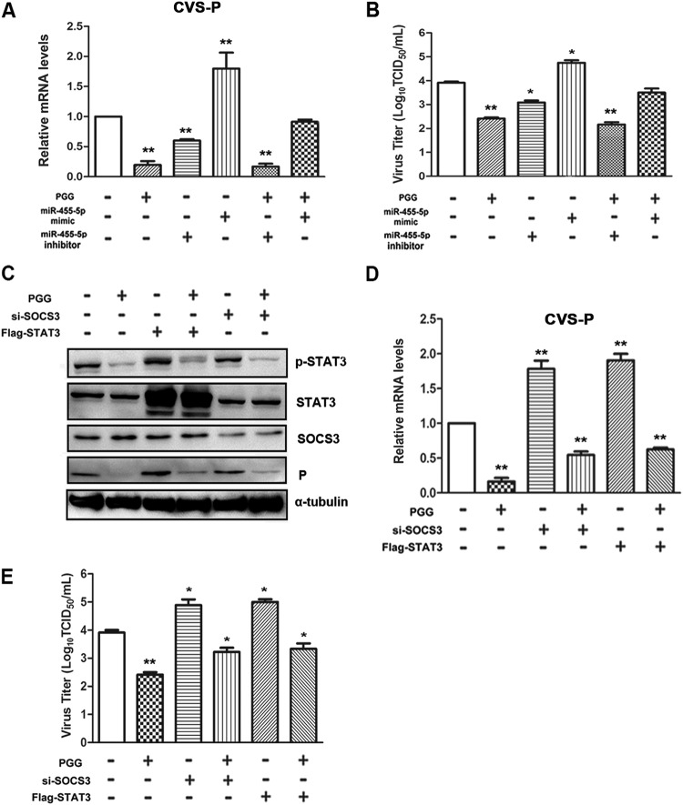 FIG 6