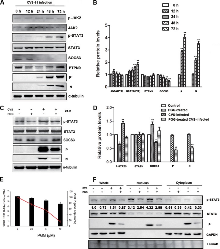 FIG 1