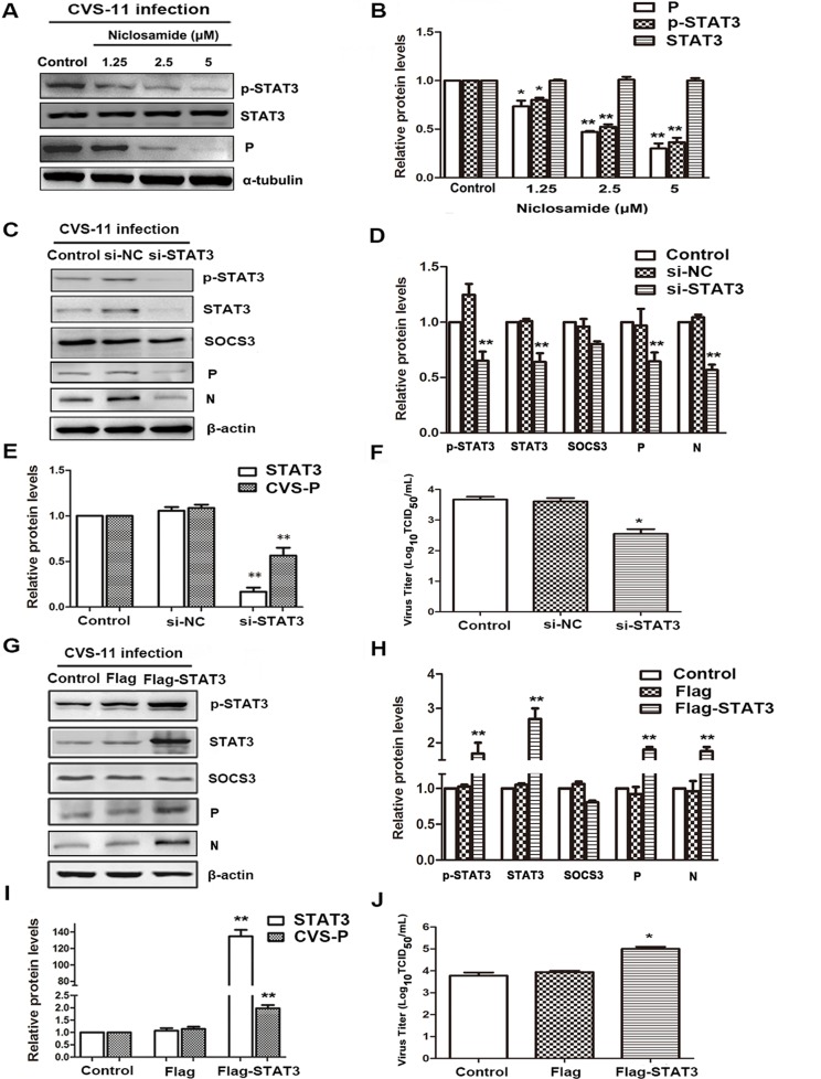 FIG 2