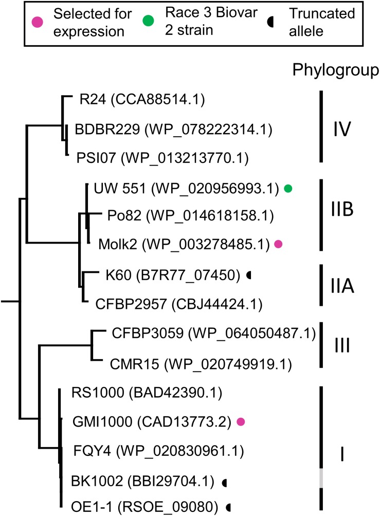 FIGURE 3