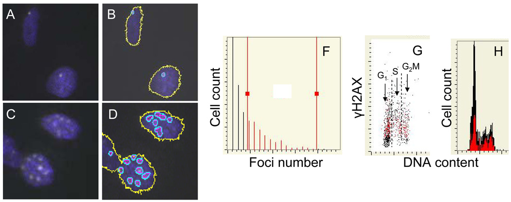 Fig. 10