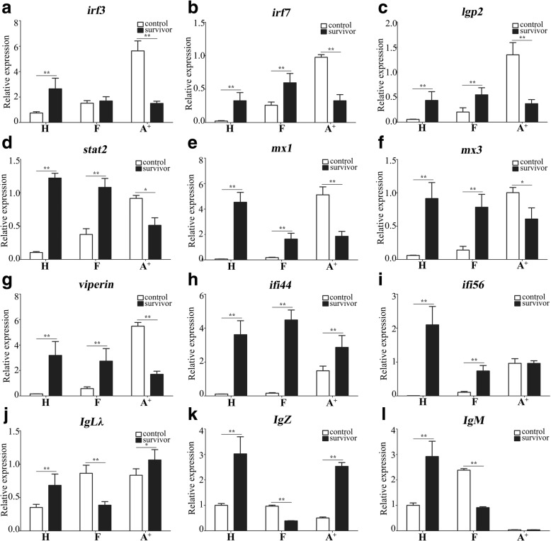 Differential Expression Of Innate And Adaptive Immune Genes In The