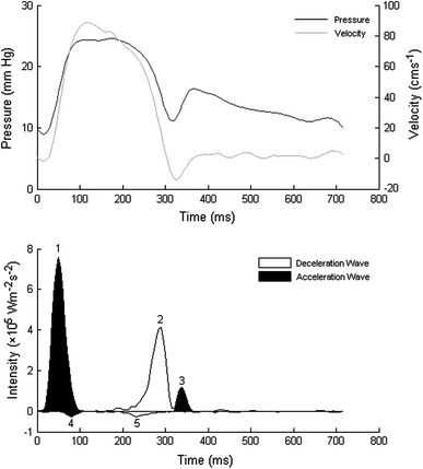 Fig. 3