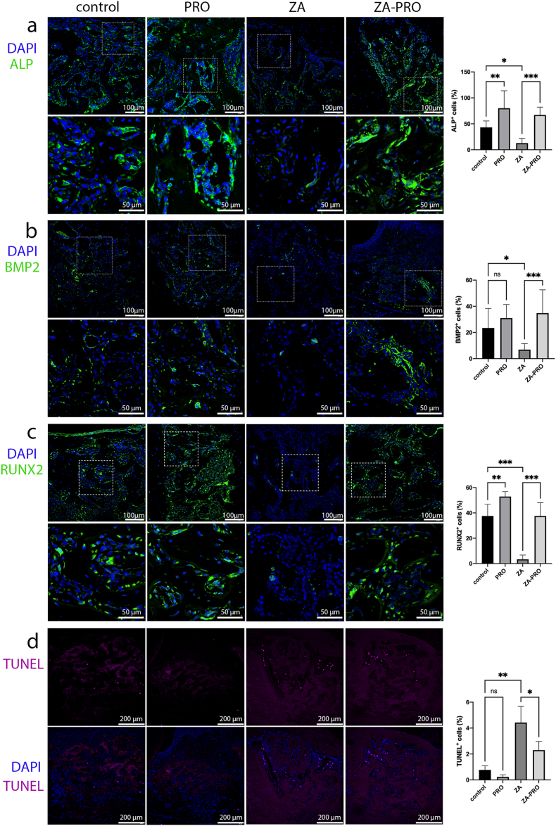 Figure 6