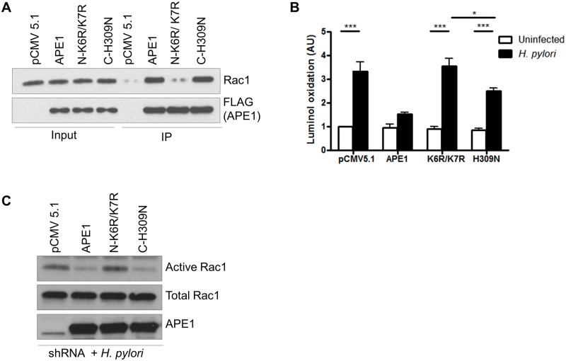 Fig 6