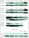 Fig A2.